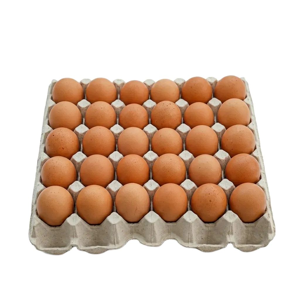 Bandeja de 30 huevos de color